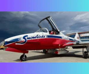 Canadian Snowbirds Dazzle Edmonton Skies with Precision and Pride