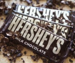 🍫 The “Chocolate Bar Conservative Party” – Sweet Politics or Sticky Situation?